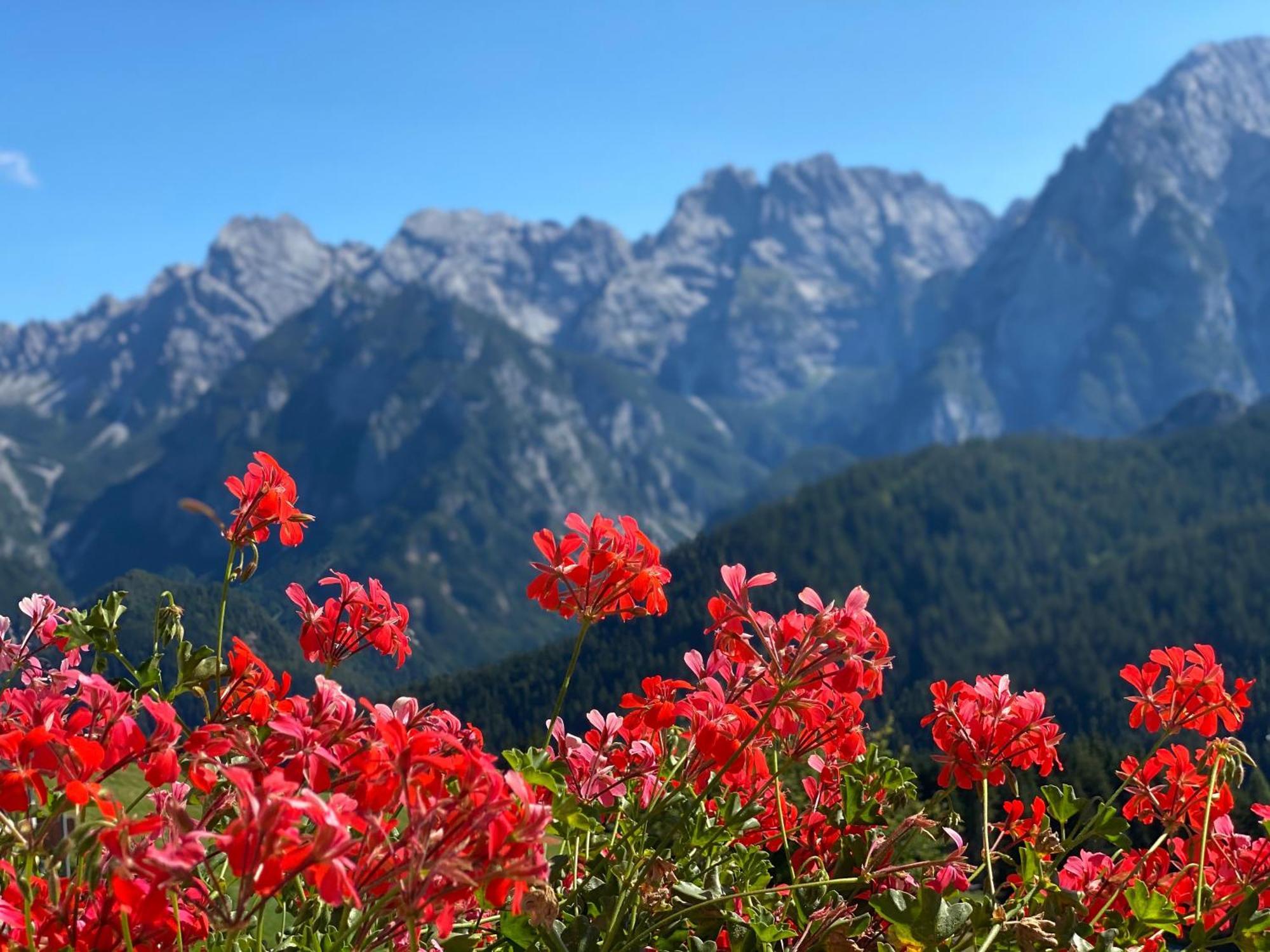 Hotel Tre Pini Danta Экстерьер фото